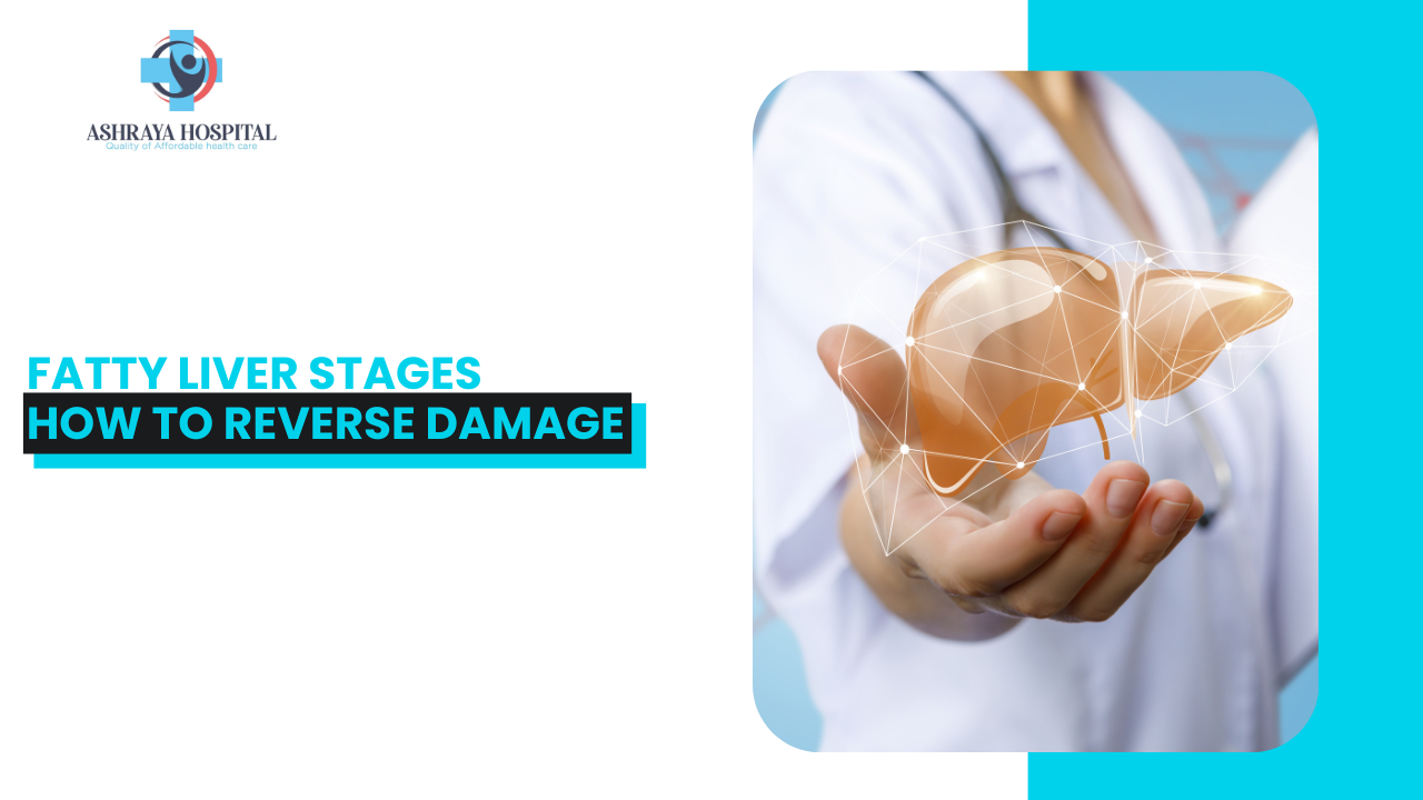 Fatty Liver Stages How to Reverse Damage
